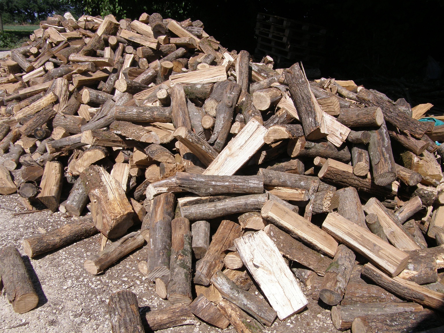Bûches traditionnelles vrac en 33 cm - Cyberbois - Le bois sous toutes ses  formes